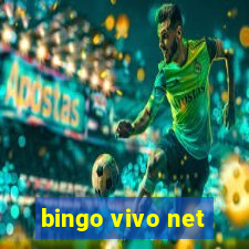 bingo vivo net